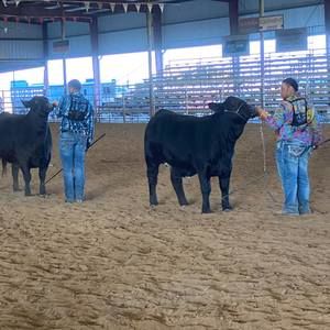 Meet your Posher, Roger